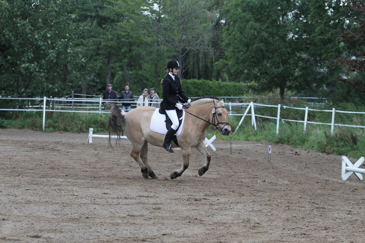 Bild 415 - WBO-Turnier am 18.9.11